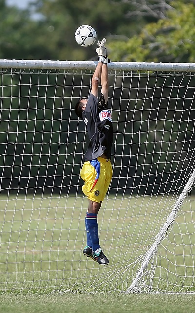 竞博体育jbo中国官方网站